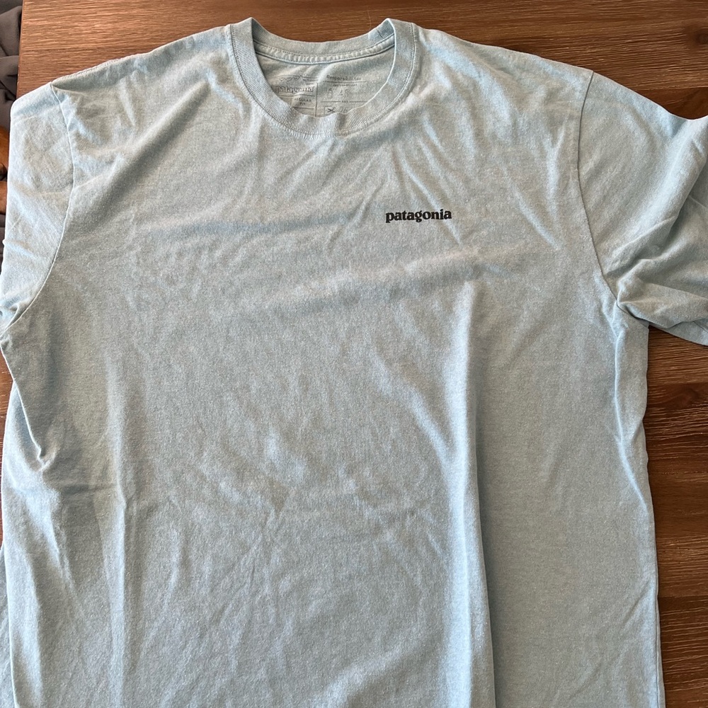 Mens Patagonia T Shirt